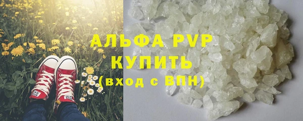 стаф Волоколамск