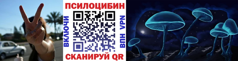 Псилоцибиновые грибы мицелий  купить   Новопавловск 